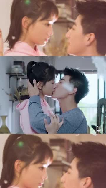 狗狗物品记忆卡